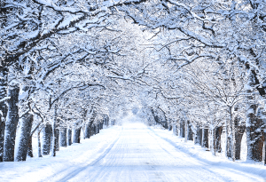 snowy-road